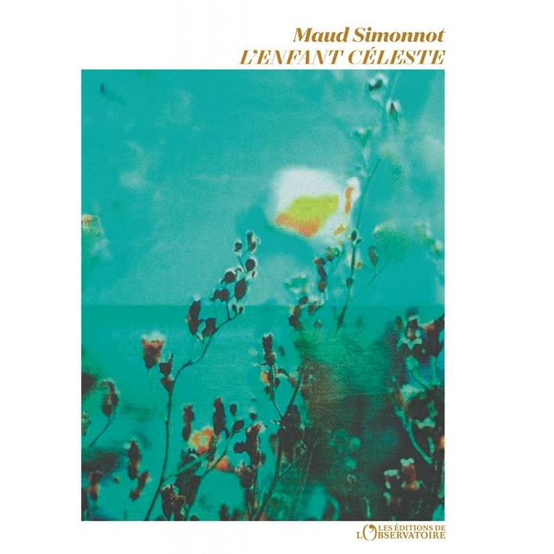 L'enfant Céleste Première Sélection Du Prix Goncourt 2020