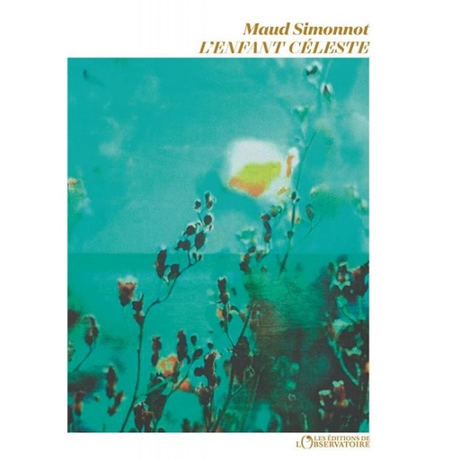 L'enfant Céleste Première Sélection Du Prix Goncourt 2020